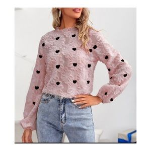 SHEIN……Heart Embroidery Frill Neck
Fuzzy Blouse…….